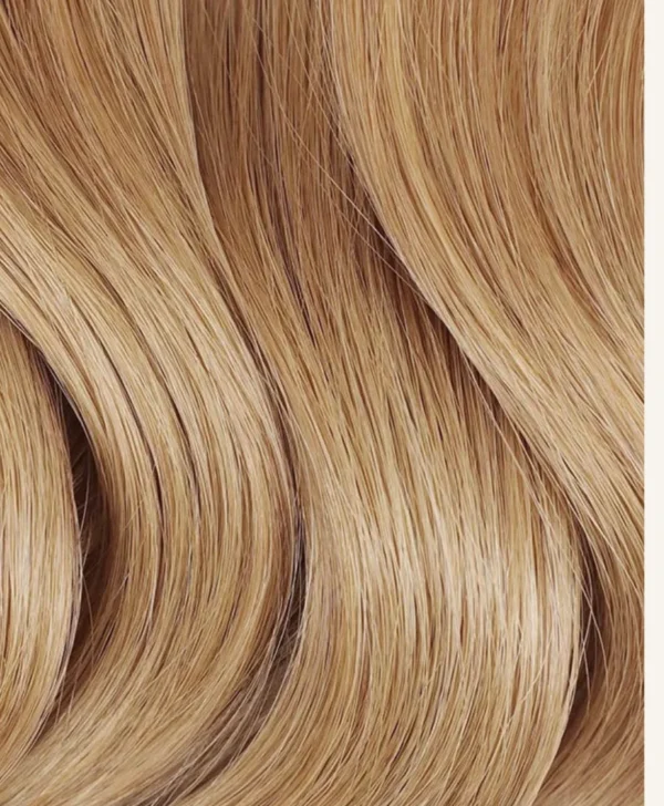 Honeyed Blonde Clip-Ins - Image 3