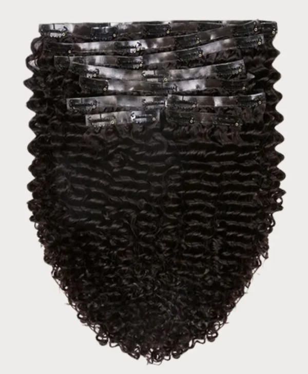 Silquey Fro Burmese Luxe Curl - Image 2
