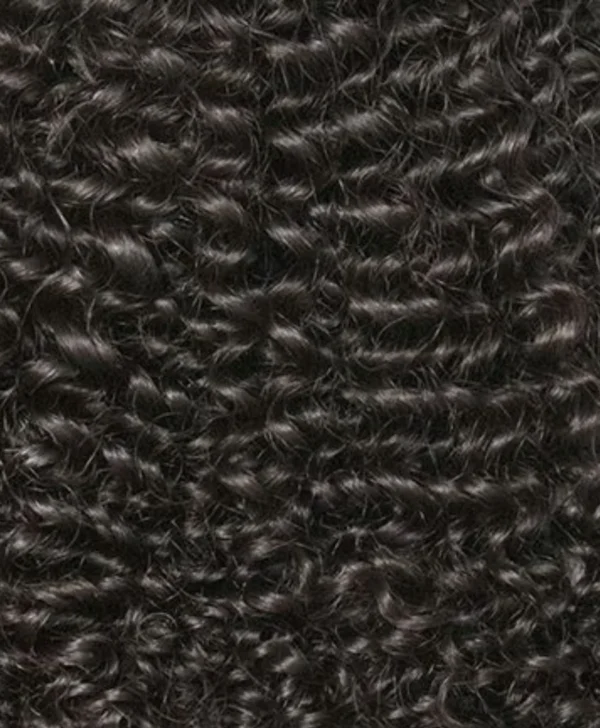  Burmese Luxe Curl Weft - Image 2