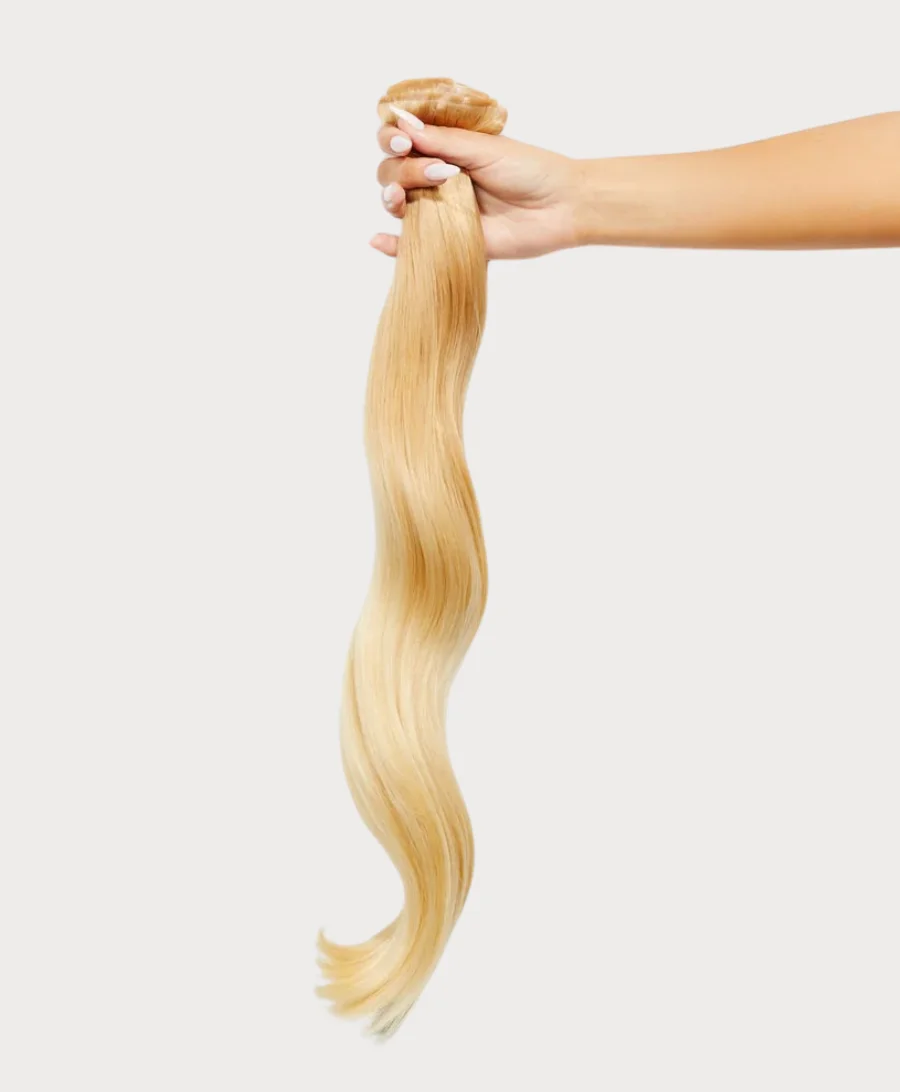 Golden Honey Clip-Ins