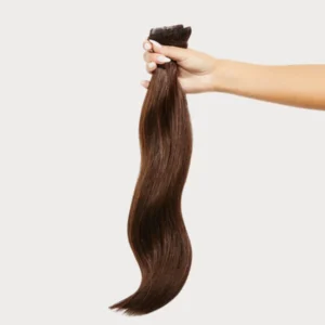 Chestnut Glow Clip-Ins