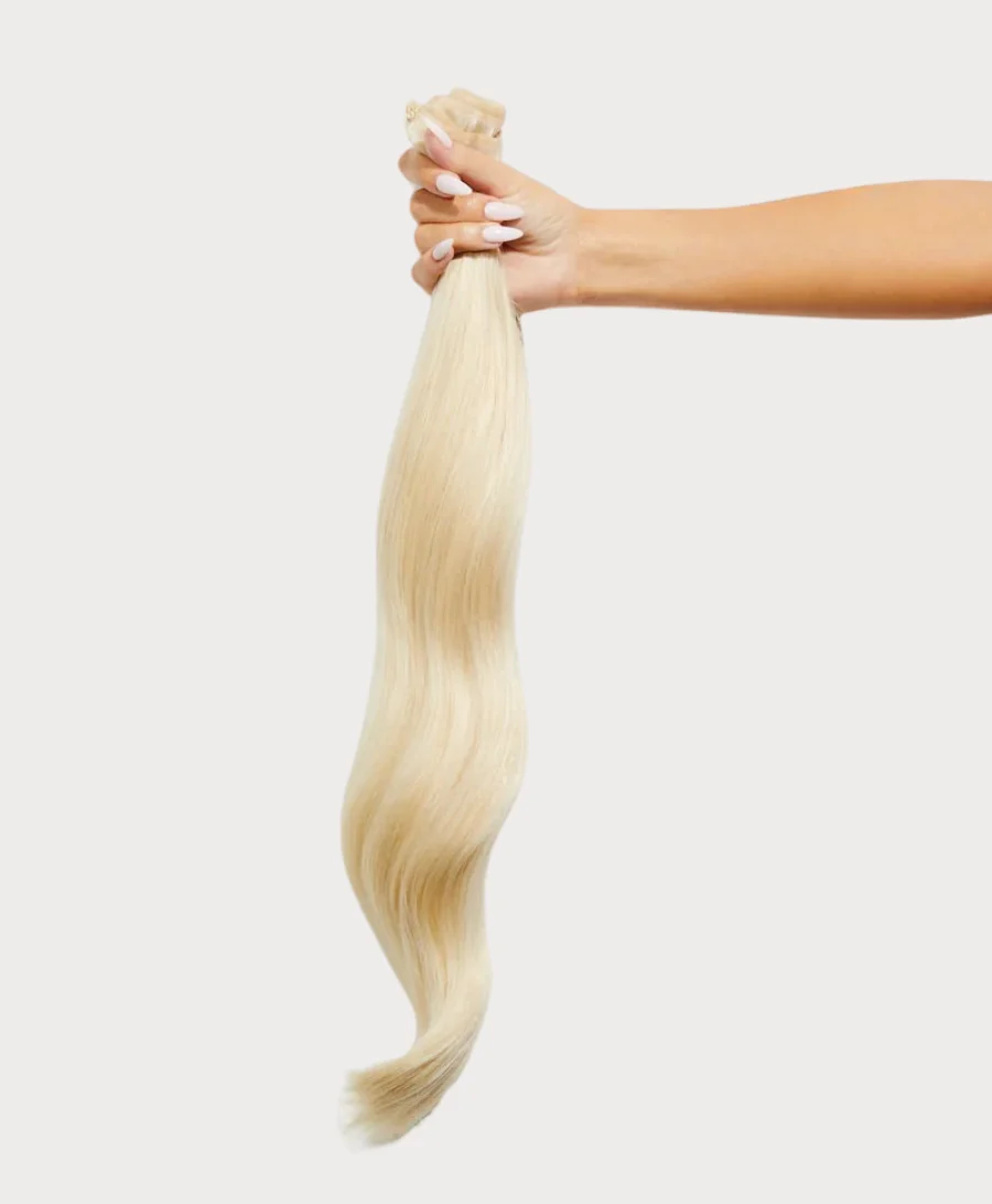 Arctic Platinum Clip-Ins
