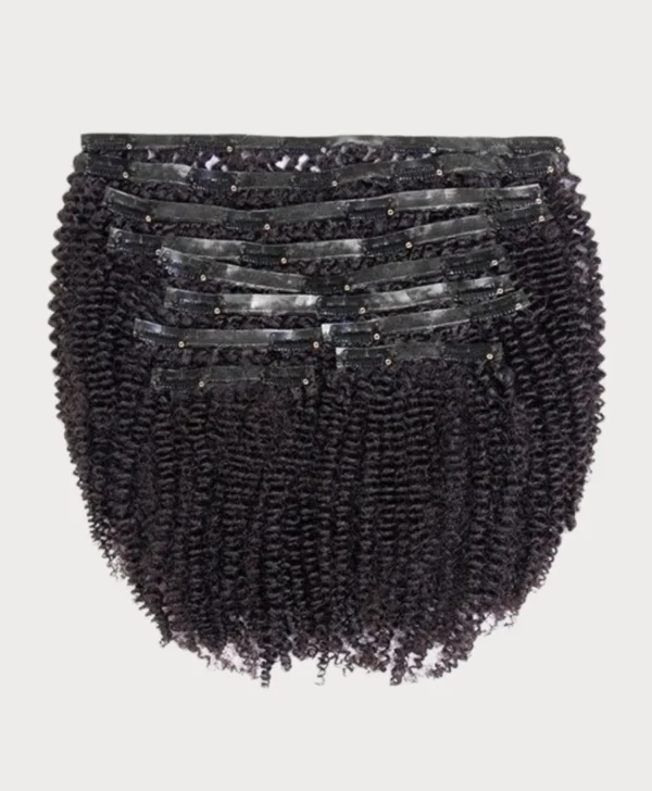 Silquey Fro Kinky Curly Luxe - Image 2
